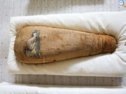 Ibis egizi mummificati